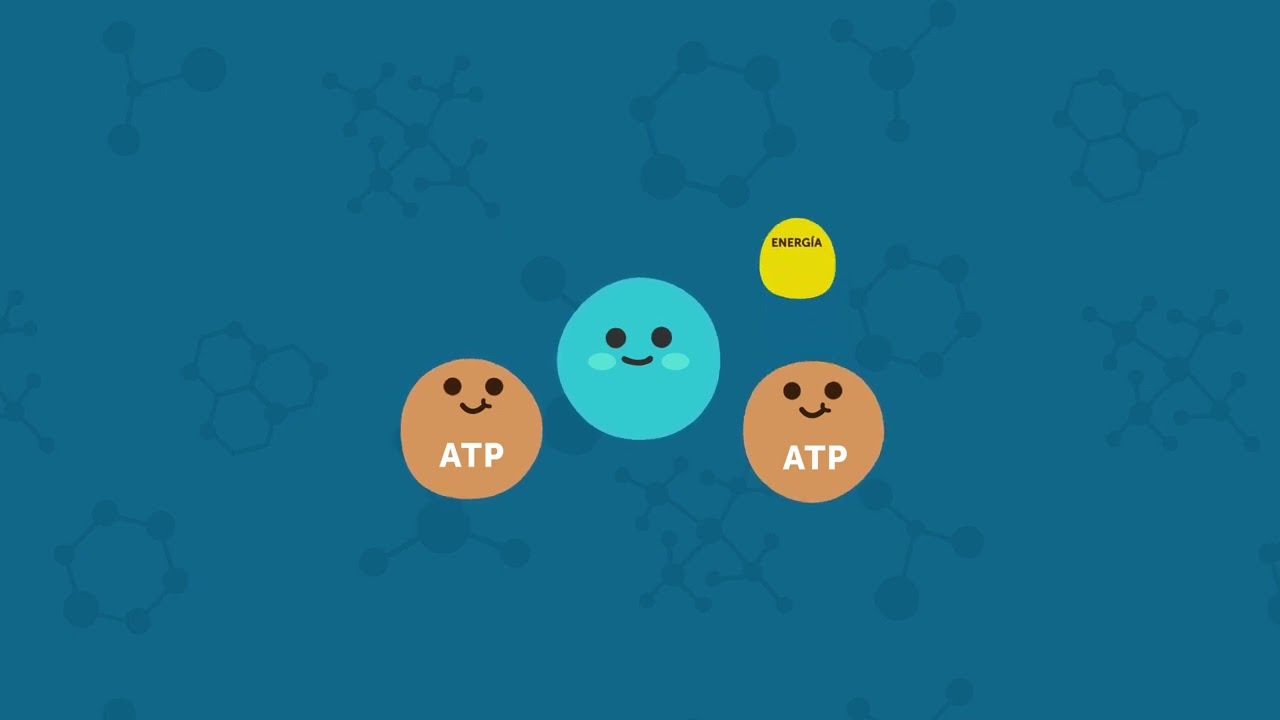 Prueba de Atp luminómetro