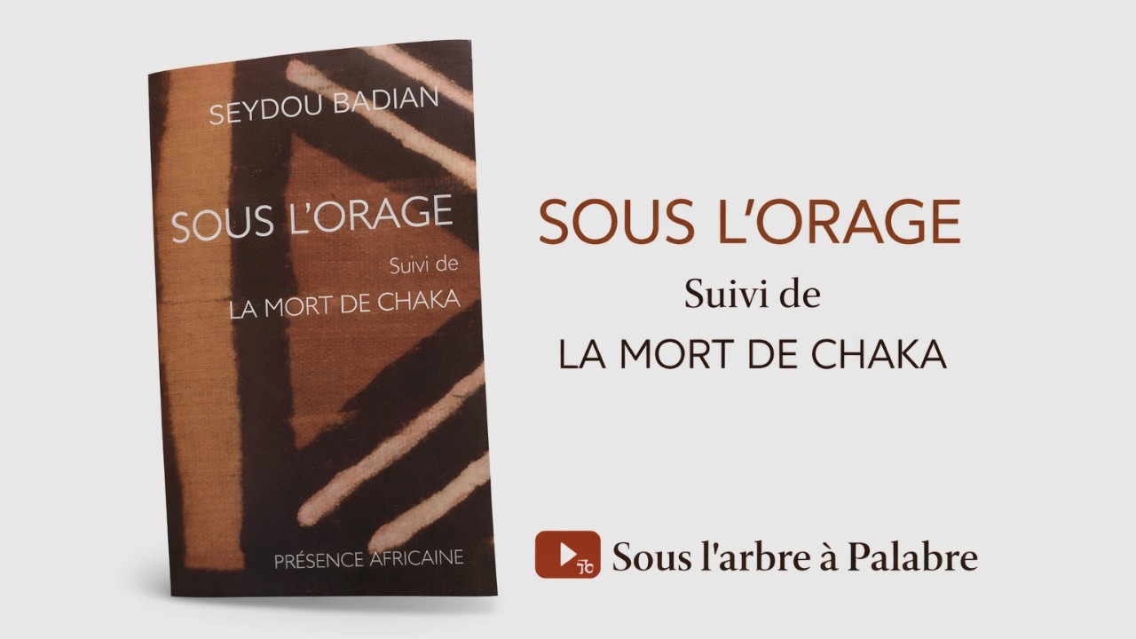 11 - SOUS L'ORAGE | Seydou Badian Kouyaté