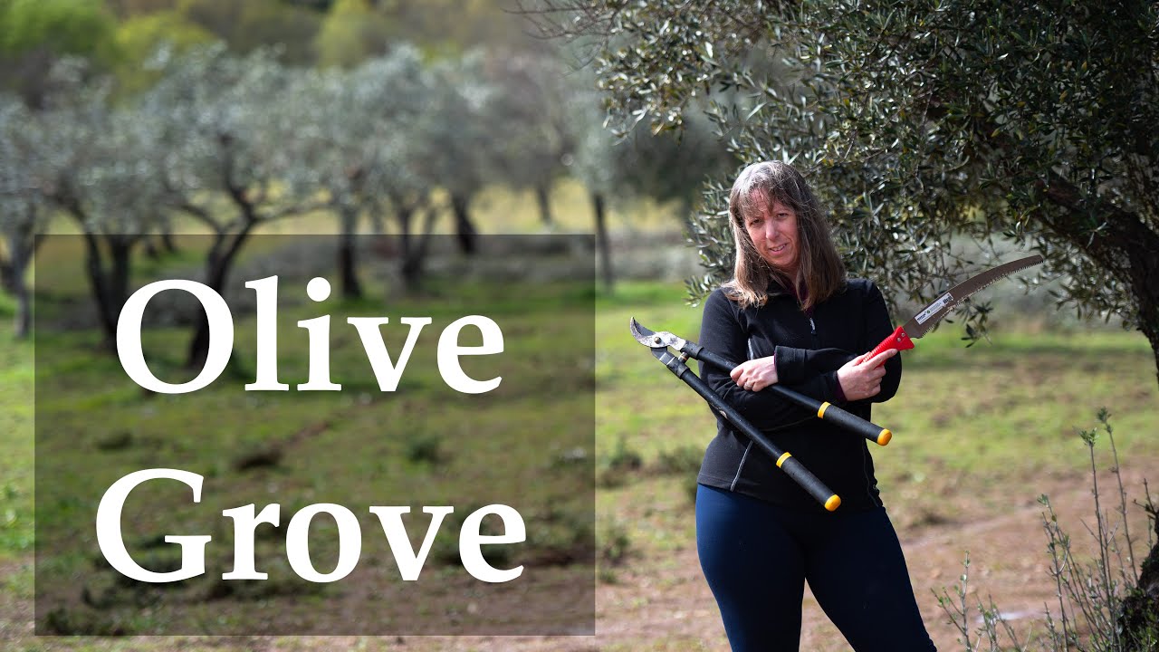Back on Our Land in Central Portugal - Slow Living