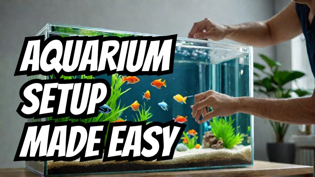BEGINNER FRIENDLY Guide To Setting Up An Aquael Leddy 40 Aquarium