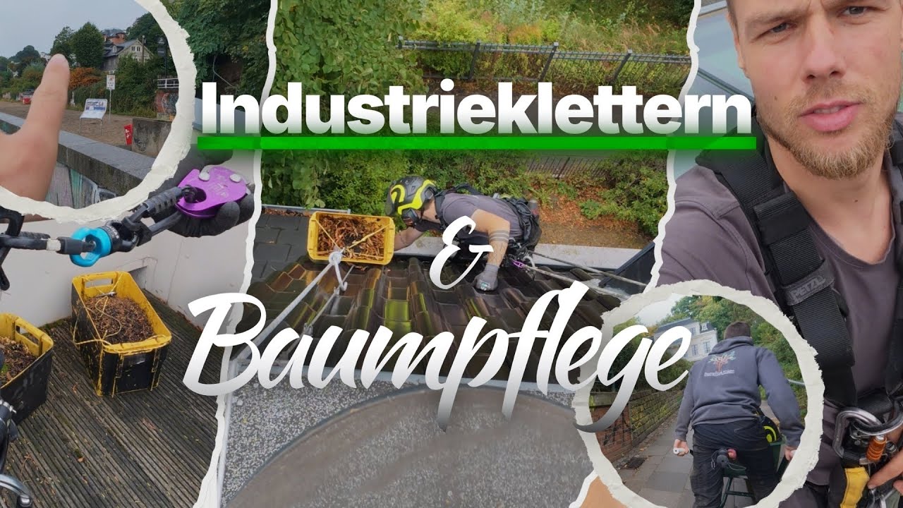 Baumpflege & Industrieklettern: Ein Tag zwischen Regen, Seilen & Dachrinnen