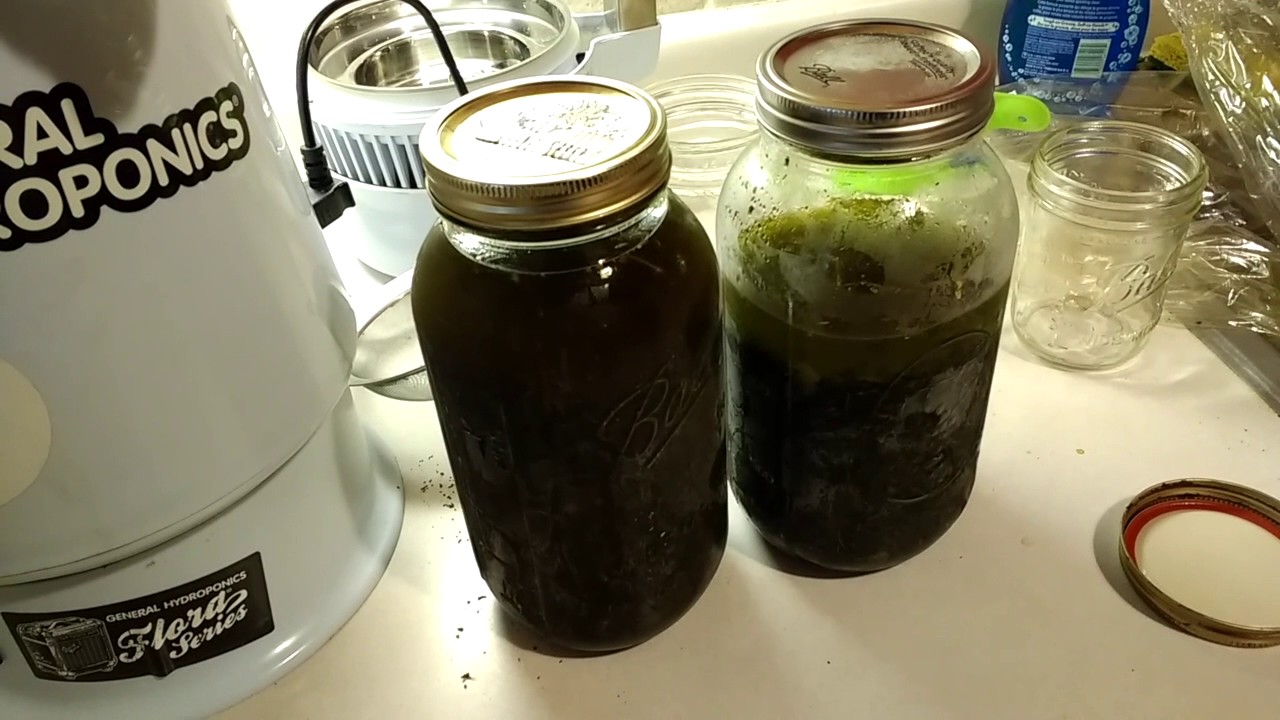 Green Oil Machine - GOM show and tell tips