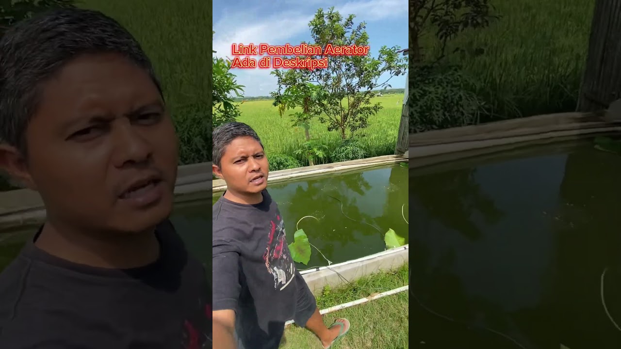 Aerator Jebo P100 persamanya resun lp100 #sarangikannila #ikan #budidayaikan #fishing