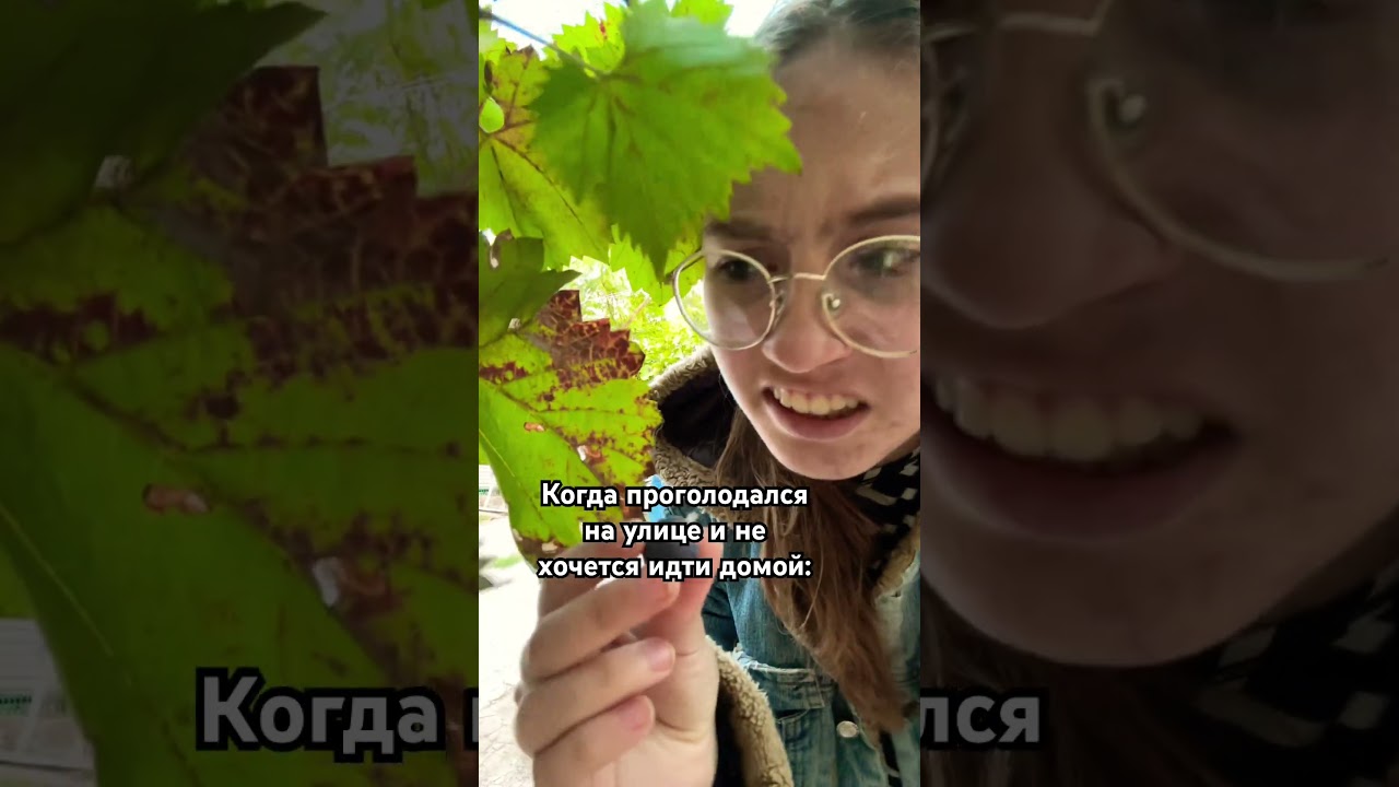 Жиза? #юмор #жиза