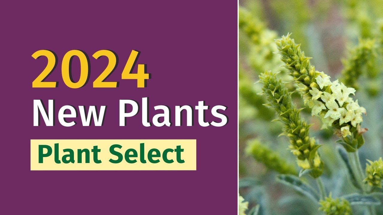 New Plants for 2024 from Plant Select