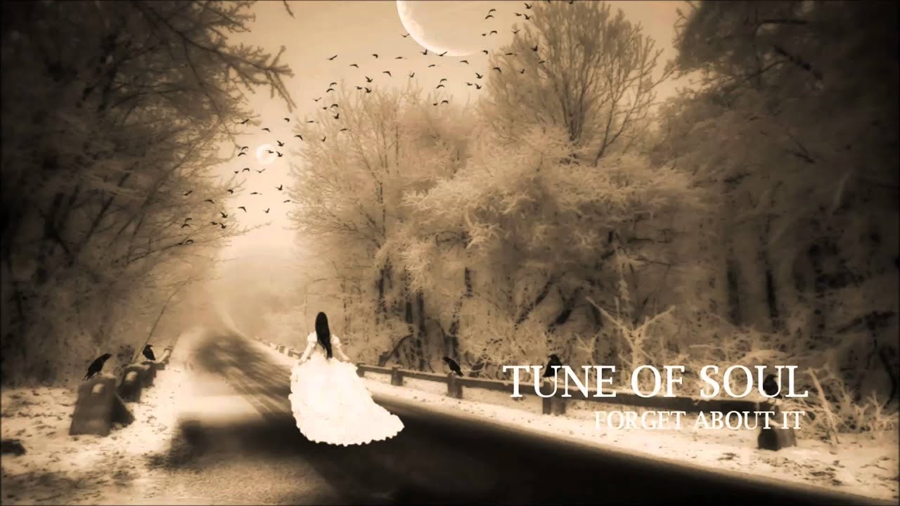 Tune of Soul - Forget About It