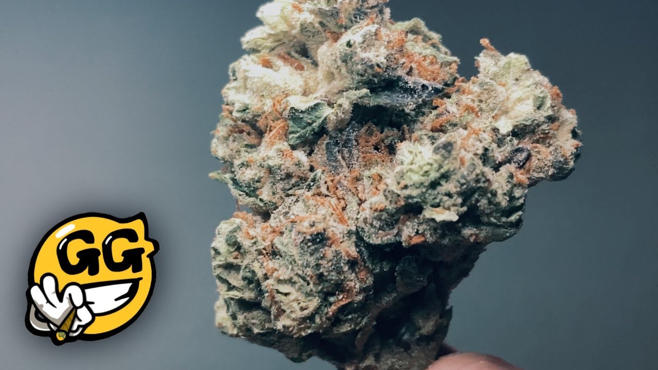 Gusto Gram's Top Tier THCa Flower!