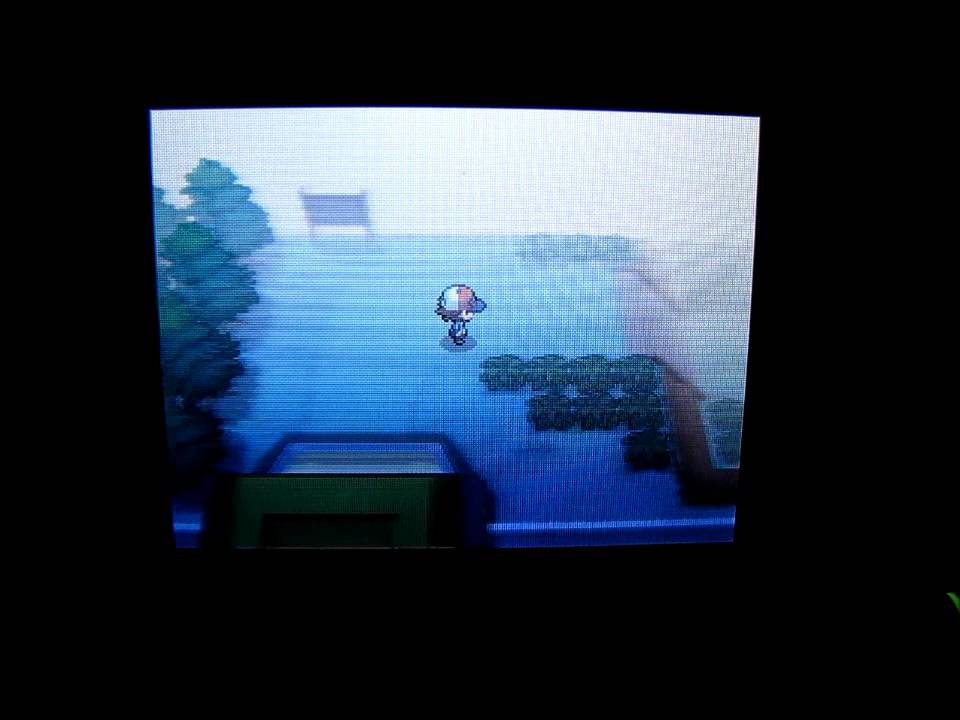Pokemon Black Walkthrough Part 85 (Route 15/Black City/Route 14)