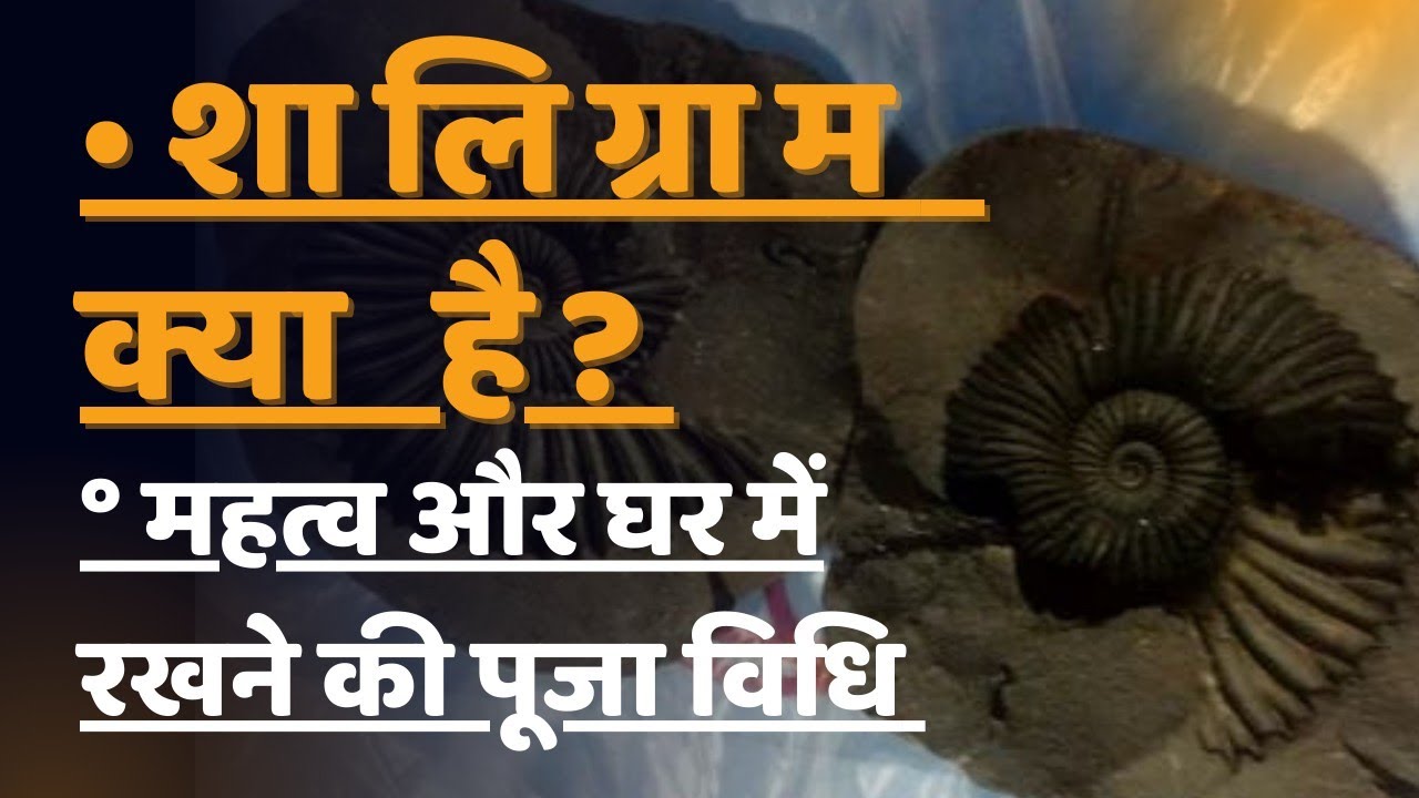 #शालिग्राम क्या है|महत्व और नियम पूरीजानकारी#pothipath #ॐनमःशिवाय #भगवानविष्णु