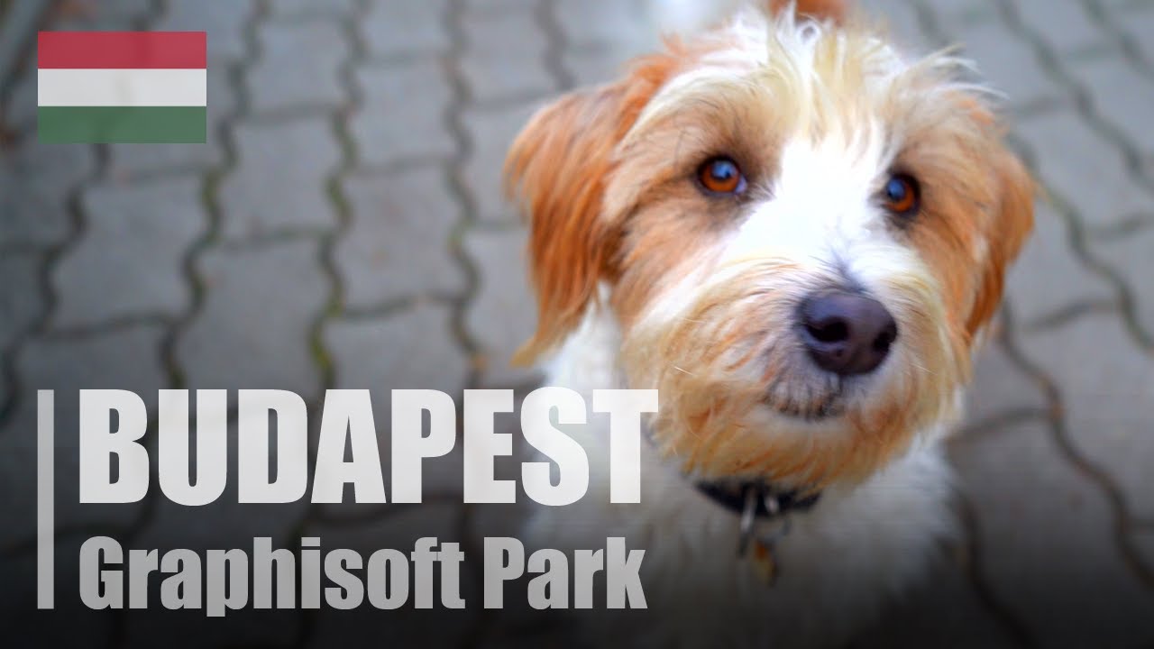 A walk on a rainy day | Graphisoft Park | Budapest | Hungary 🇭🇺