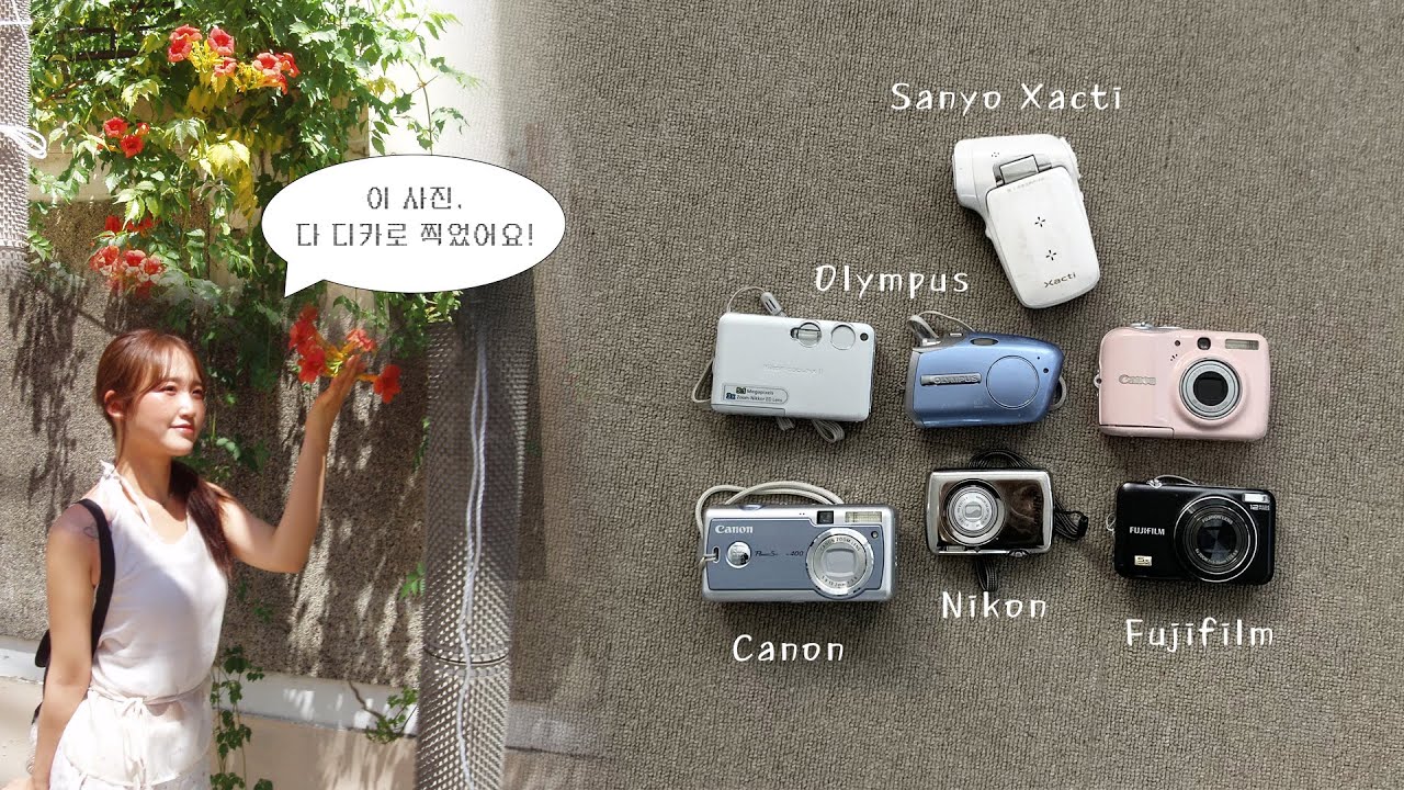 색감이 진짜 예쁜 디카들｜디카 수집가의 추천 7종📸