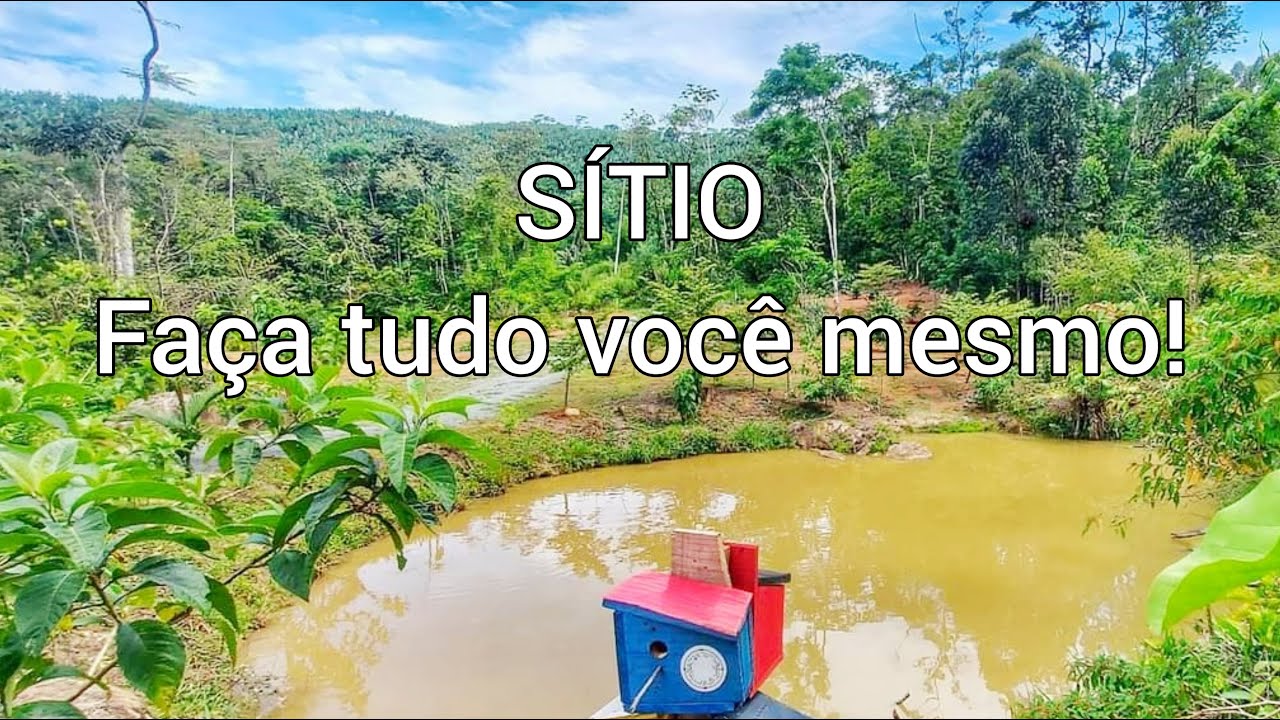 A lagoa e as árvores que plantei!