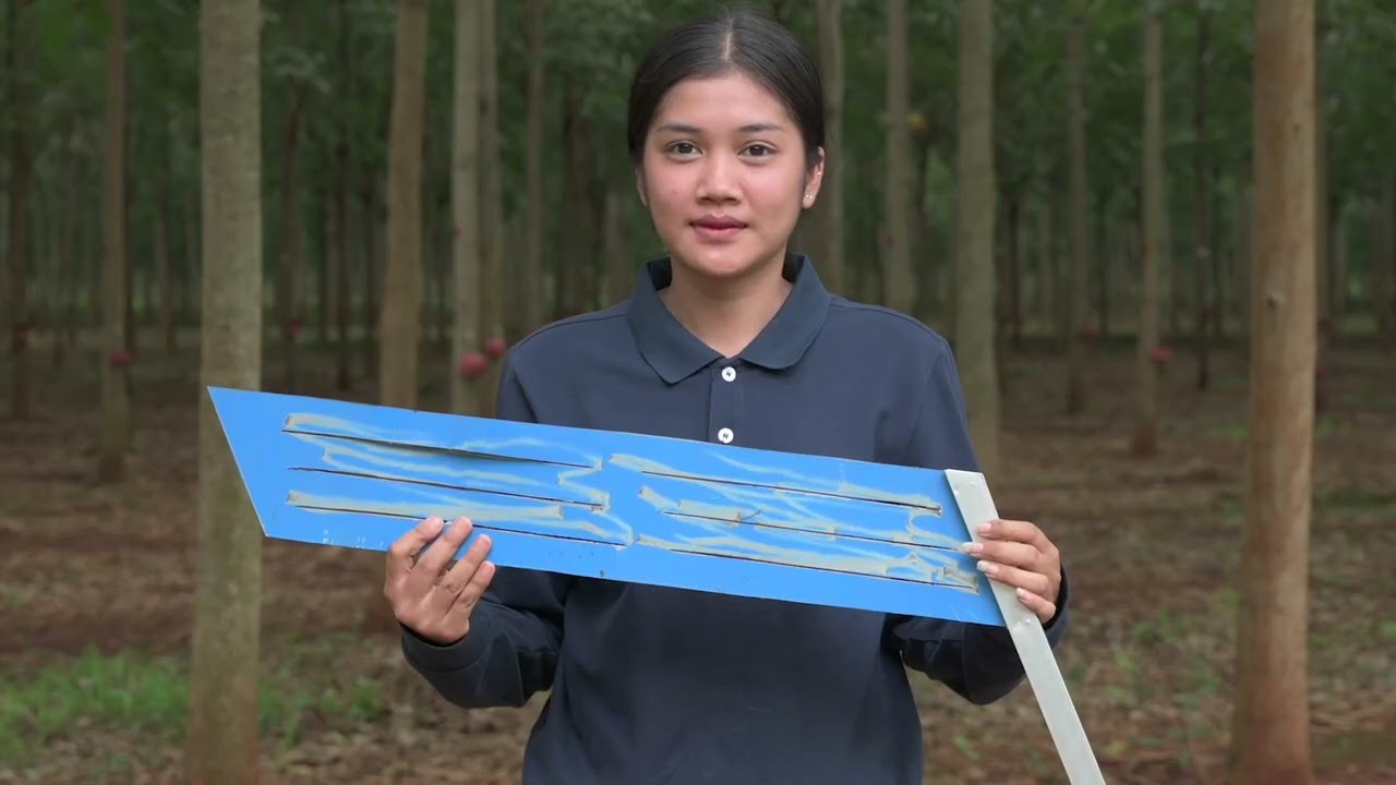 បទដ្ឋាននៃការបើកមុខចៀរដំបូង (Norms for opening) | 01 Video