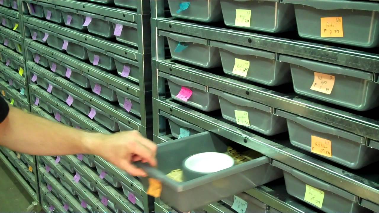 Watch Garrick feed frozen thawed rodents..see his secrets to getting them to eat!