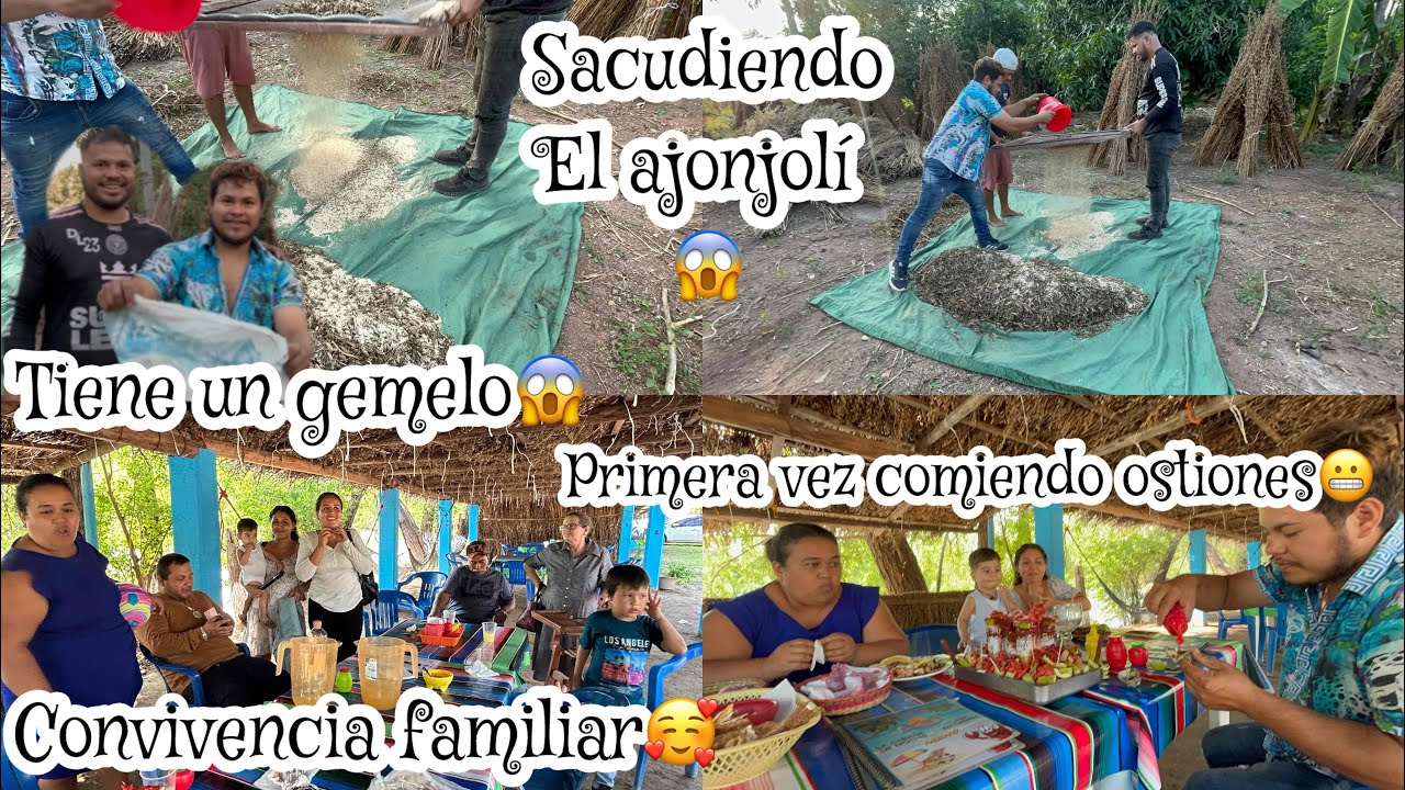‼️El &uacute;ltimo proceso final del ajonjol&iacute;😱//comprando sin dinero🤷&zwj;♀️😂#parati #familia #guerrero #humor 