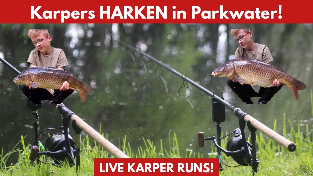 Karpers HARKEN in Parkwater! (LIVE KARPER RUNS!)