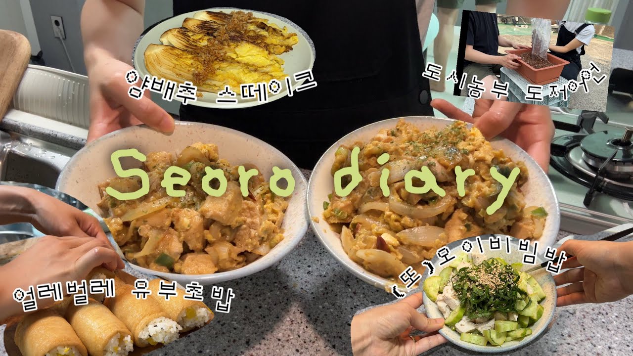 vlog 외식❌ 배달❌ 6월 식비 리셋만 기다리는 신혼부부의 집밥 기록📹 양배추 스테이크 • 초간단 오야코동 • 오이김비빔밥 • 존마탱 참치쌈장 | 얼레벌레 피크닉🧺