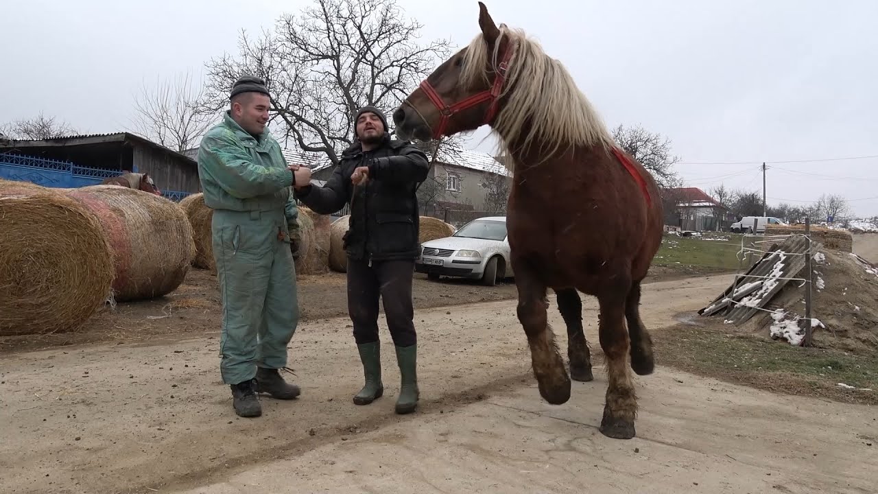 Calatorie prin Romania cu Vladut de la Floresti - 2025 Nou!!!