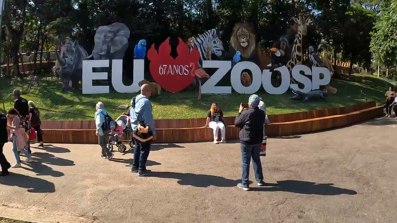 Passeio no Zoológico Zoo Tour Passeio de Domingo no Zoo Como é o Zoológico de São Paulo Brasil