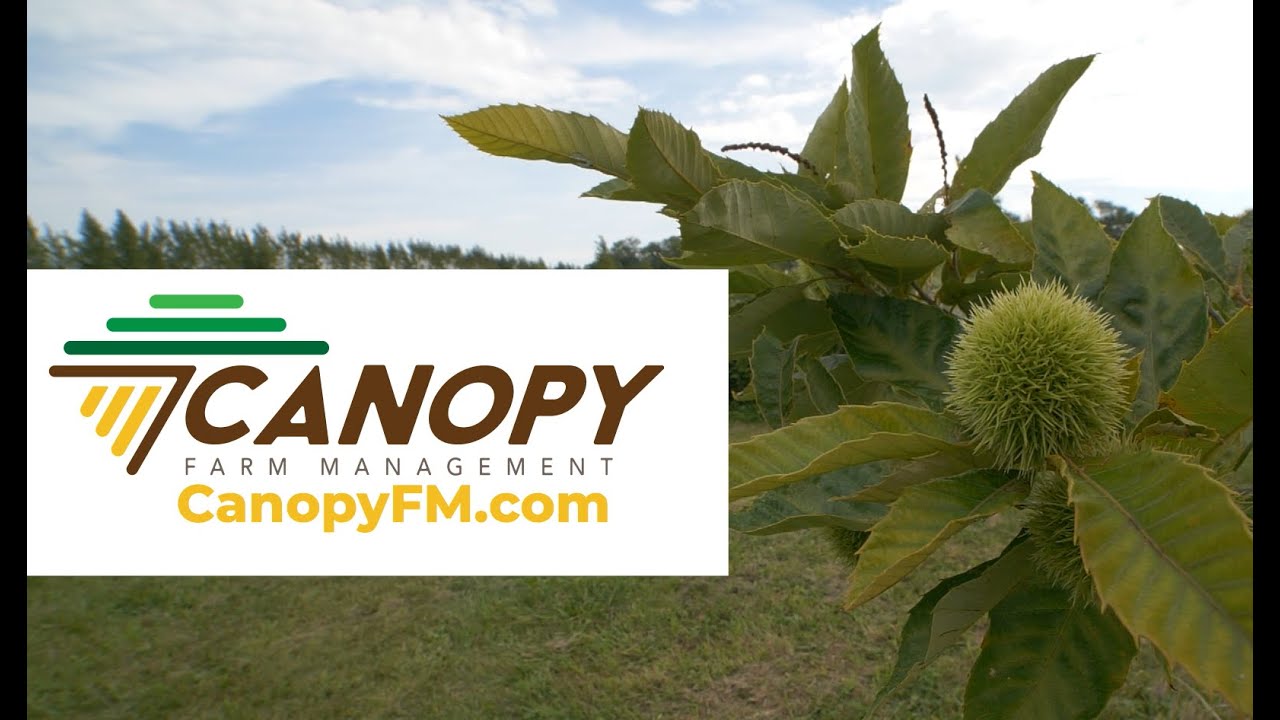Canopy Farm Management | Give Your Farm A Second Story | Kevin Wolz