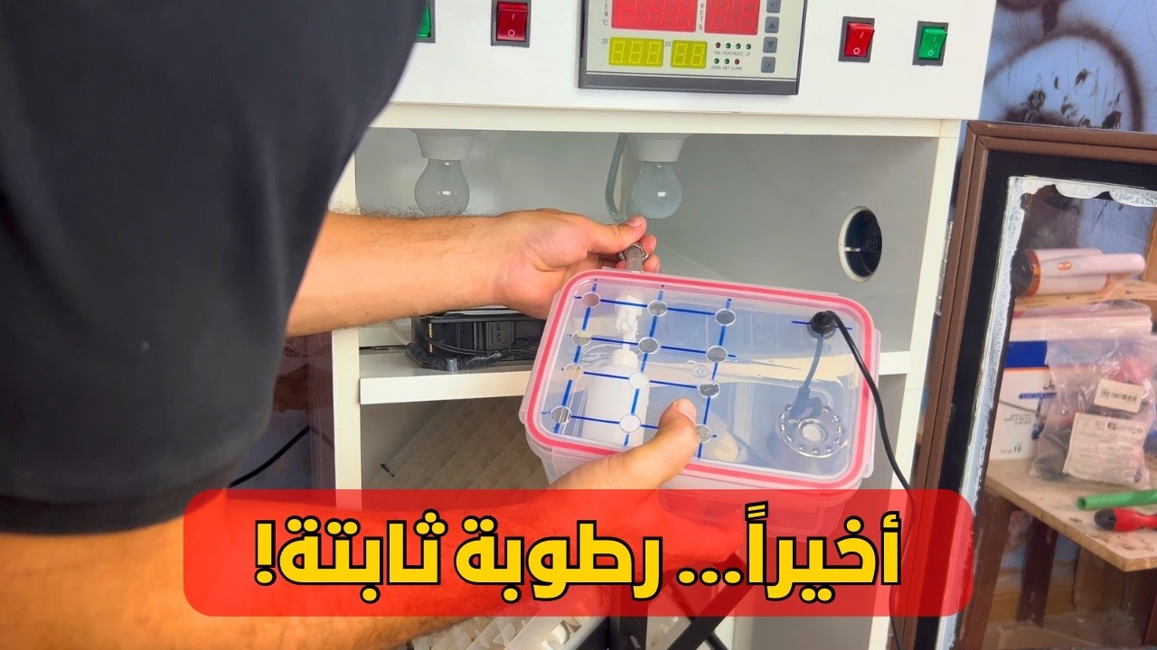 سرّ الرطوبة الثابتة في الفقاسة! تركيب نظام Humidificateur أوتوماتيكي بخطوات سهلة