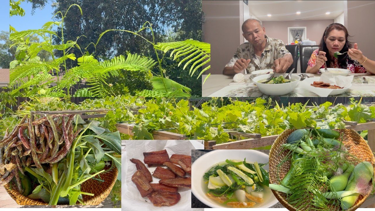 បេះបន្លែក្រោយផ្ទះសម្លក់មួយឆ្នាំ
