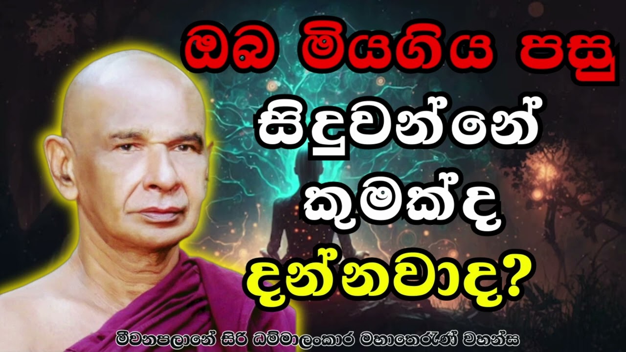 ඔබ මියගිය පසු ක්ෂණික උපතක් සිදුවේද?