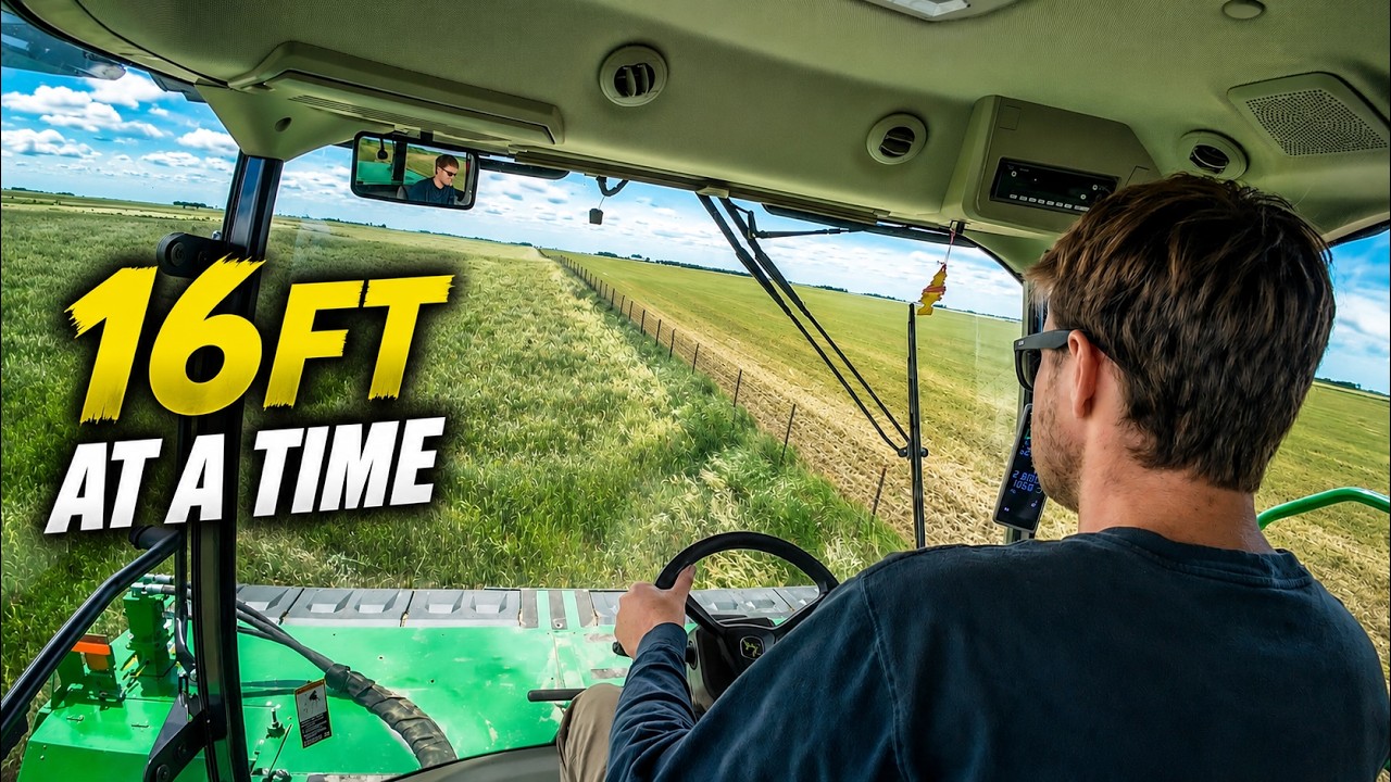 Cutting our Best Hay of the Year