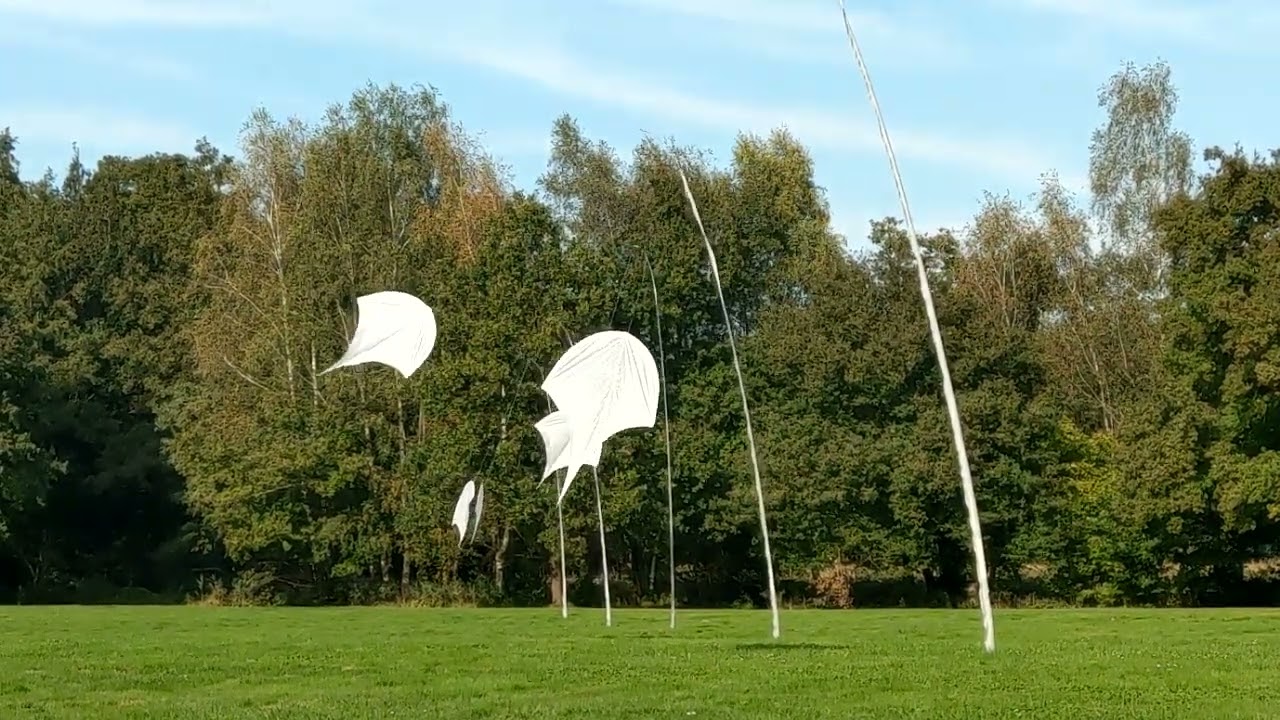 flugfeld