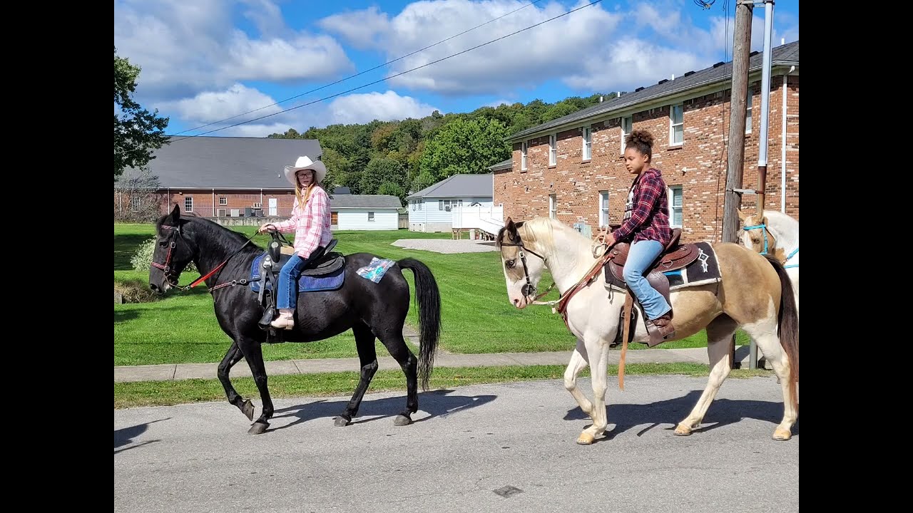 Bittersweet Festival Parade MT.vernon Kentucky 2023