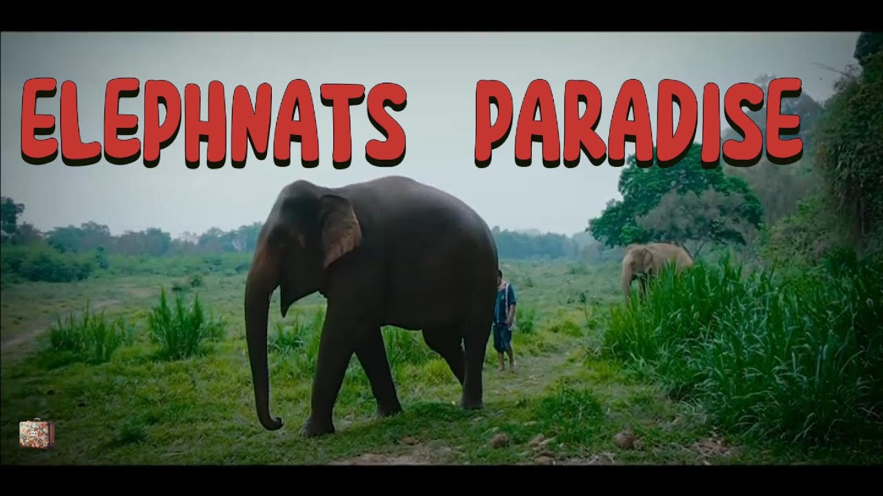Anantara Golden Triangle Elephant Camp & Resort Thailand