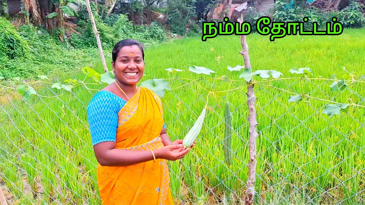 Hospital poitu Vantha udaney Video 