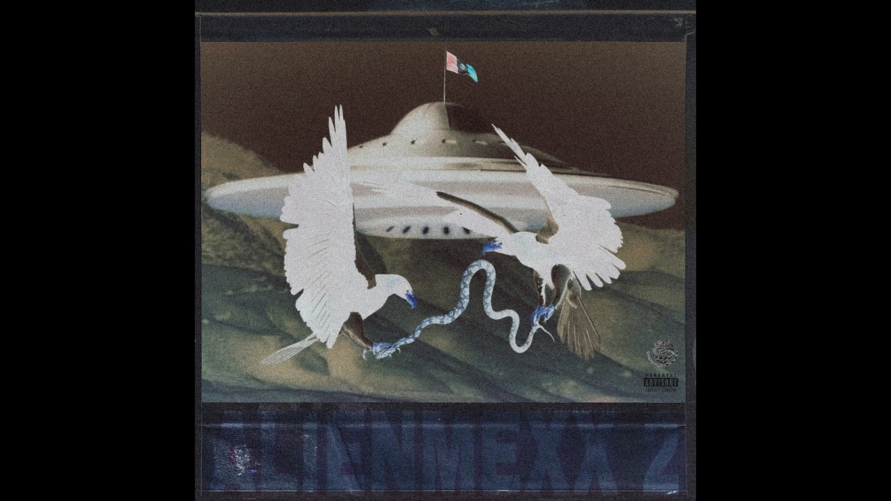 ALIENMEXX 2 :YOUNG $WAVY - ALL ALONE ?