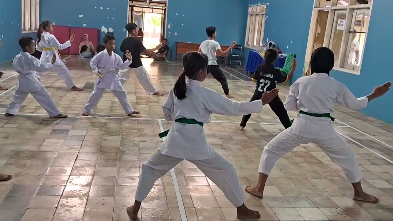 Karate Kata 2 ( Heian Nidan ) 