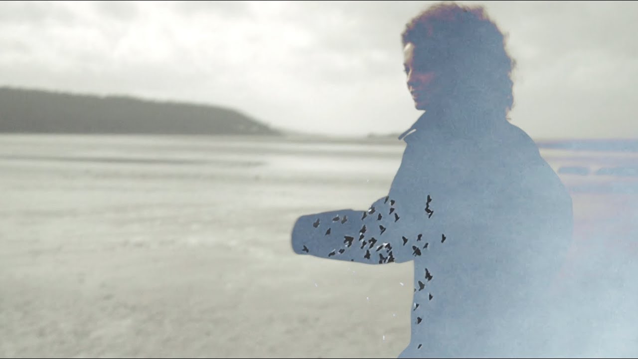 Anna B Savage - Corncrakes (Official Video)