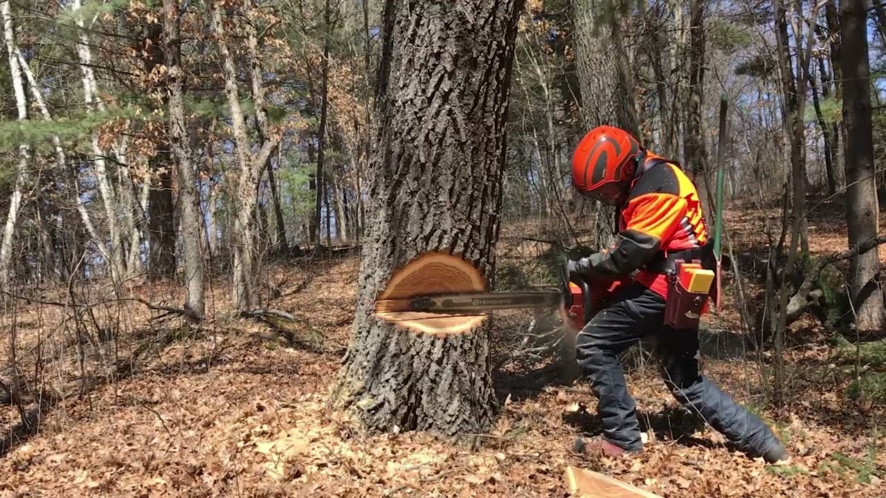 Big Leaner Takedown