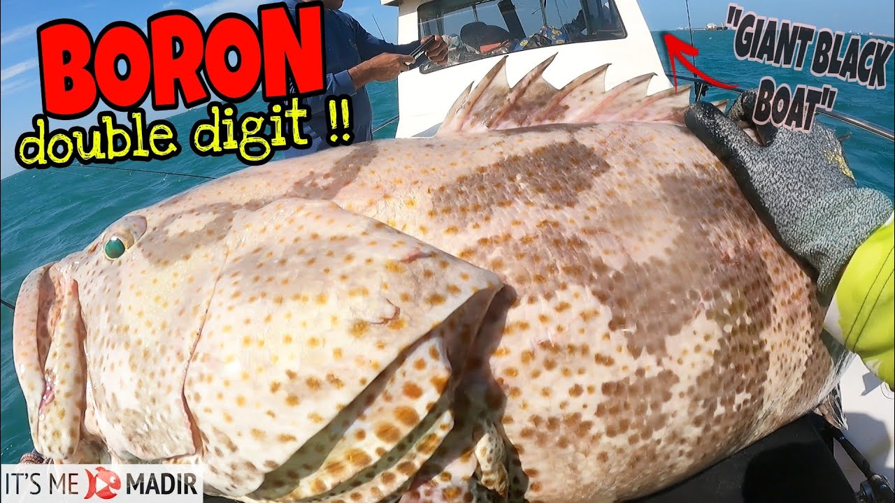 Tuas South Waters & Personal Best GIANT GROUPERRR!!! - Boat fishing Singapore