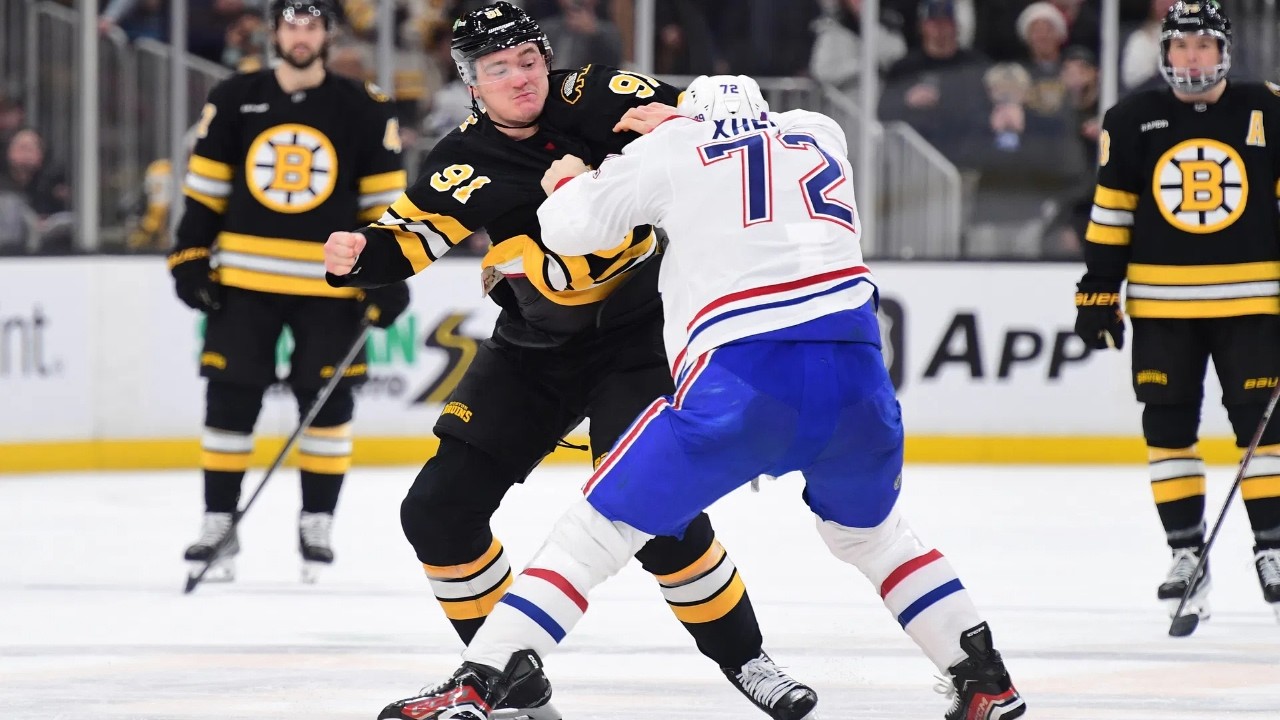 NHL: Heavyweight Fights Part 6