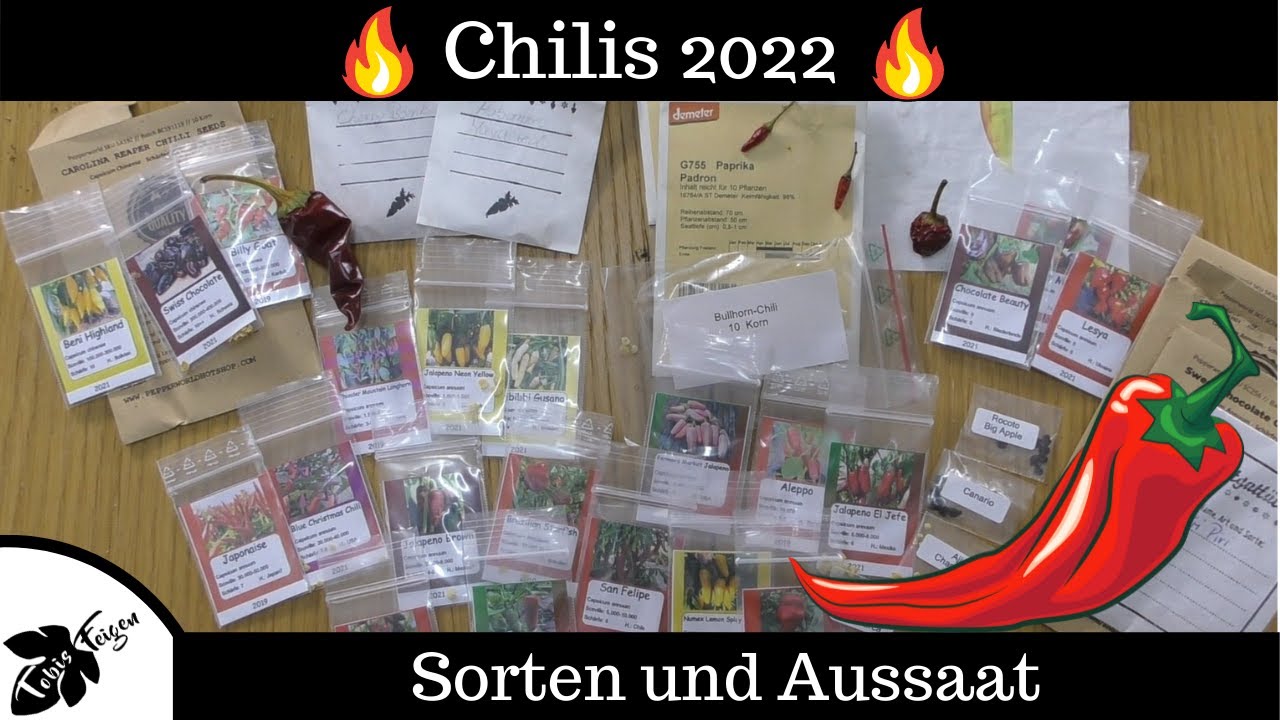 Chili Aussaat | Carolina Reaper | Habanero | Jalapeno | Swiss chocolate