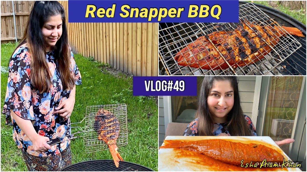 রেড স্ন্যাপার মাছ BBQ recipe এবং my Daily Life vlog | Red Snapper Fish BBQ |Esha Alam Khan|Vlog#49|