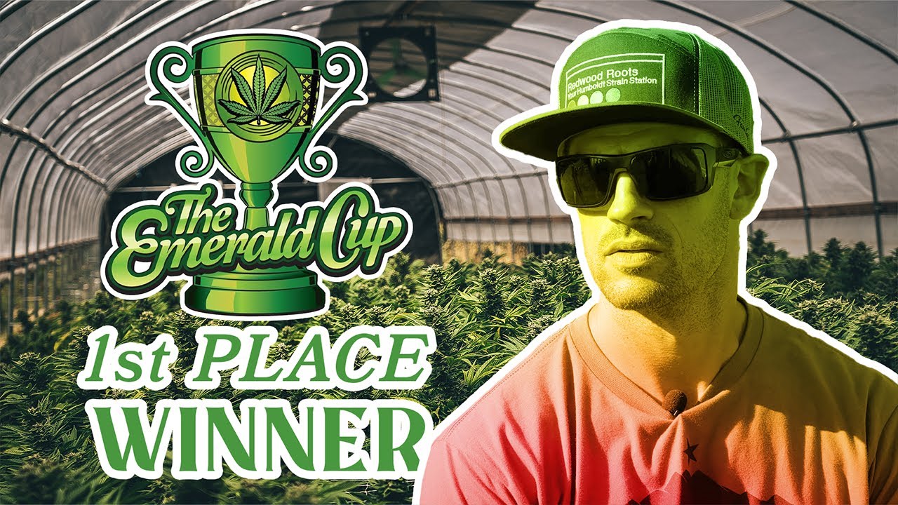 World's Best Weed! Emerald Cup 1st Place - Ridgeline Farms (EP 1)