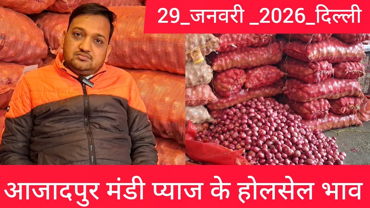 January 29, 2026 दिल्ली 🧅प्याज के होलसेल भाव azadpur delhi mandi onion market price #onionmarket