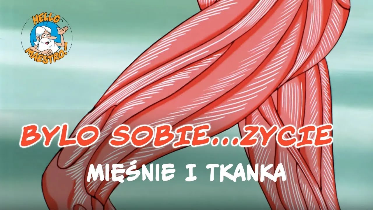 Bylo Sobie... Zycie 🌱 - Mięśnie i tkanka tłuszczowa 💪