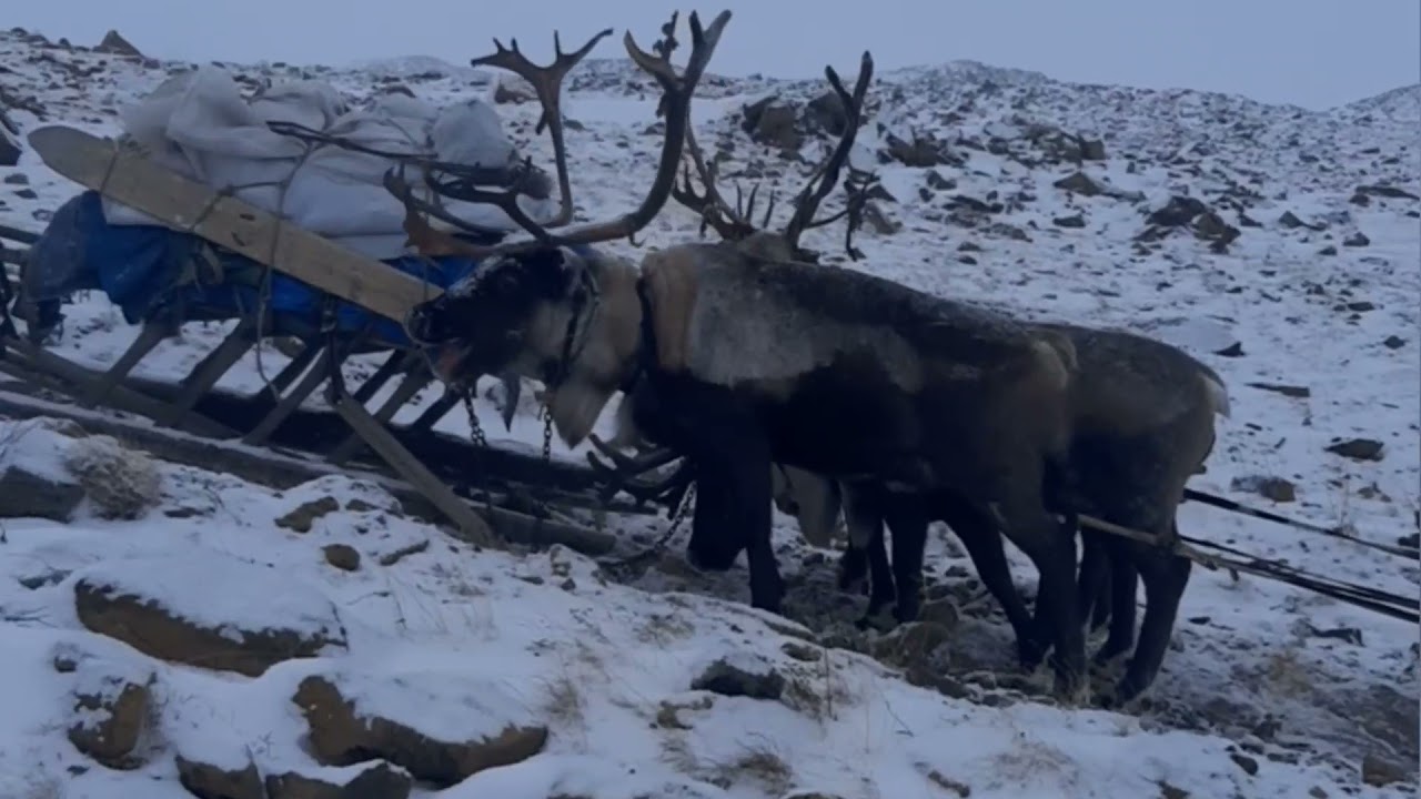 Дорога сквозь каменистую местность / Полярный Урал / Road through rocky terrain / Polar Urals