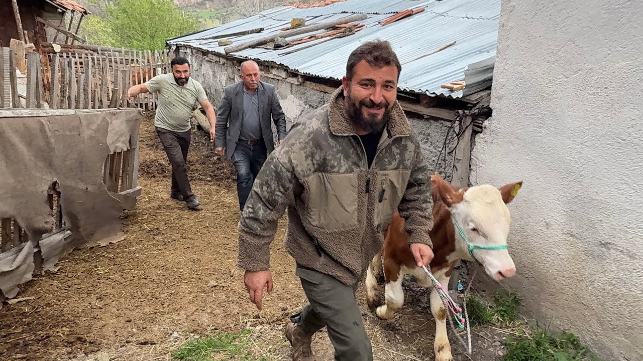 DANA TOPLAMA İŞİ HEP BANA KALDI