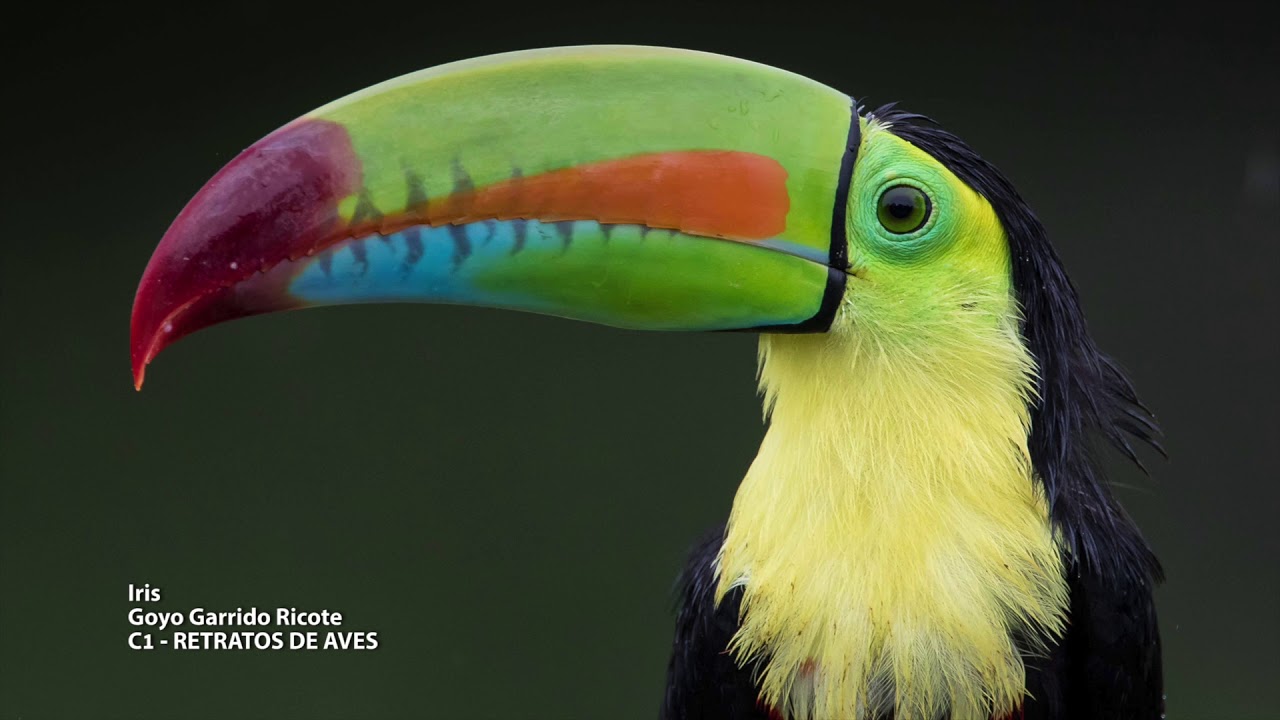 Concurso fotográfico FIO 2019