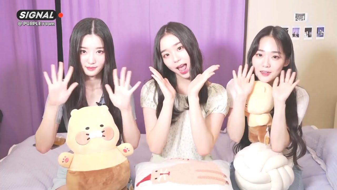 220721 서연 채연 유연 라이브 하겠습니다 | tripleS SIGNAL LIVE