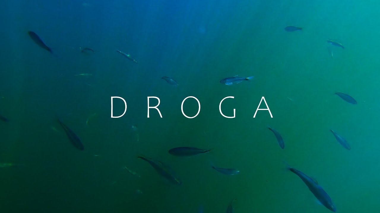 DarkPro - DROGA Big Stan (videoclip oficial) prod. @VictorReservaa