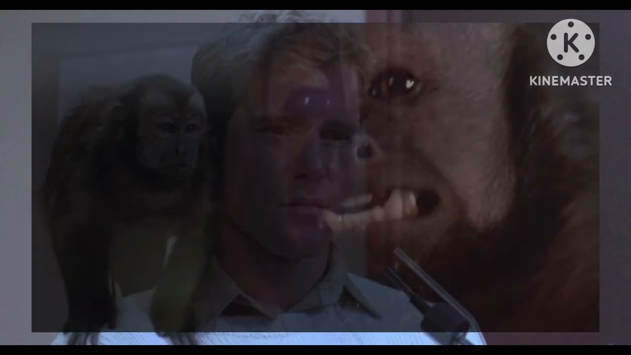PRIMATE MOVIES! — Top 30