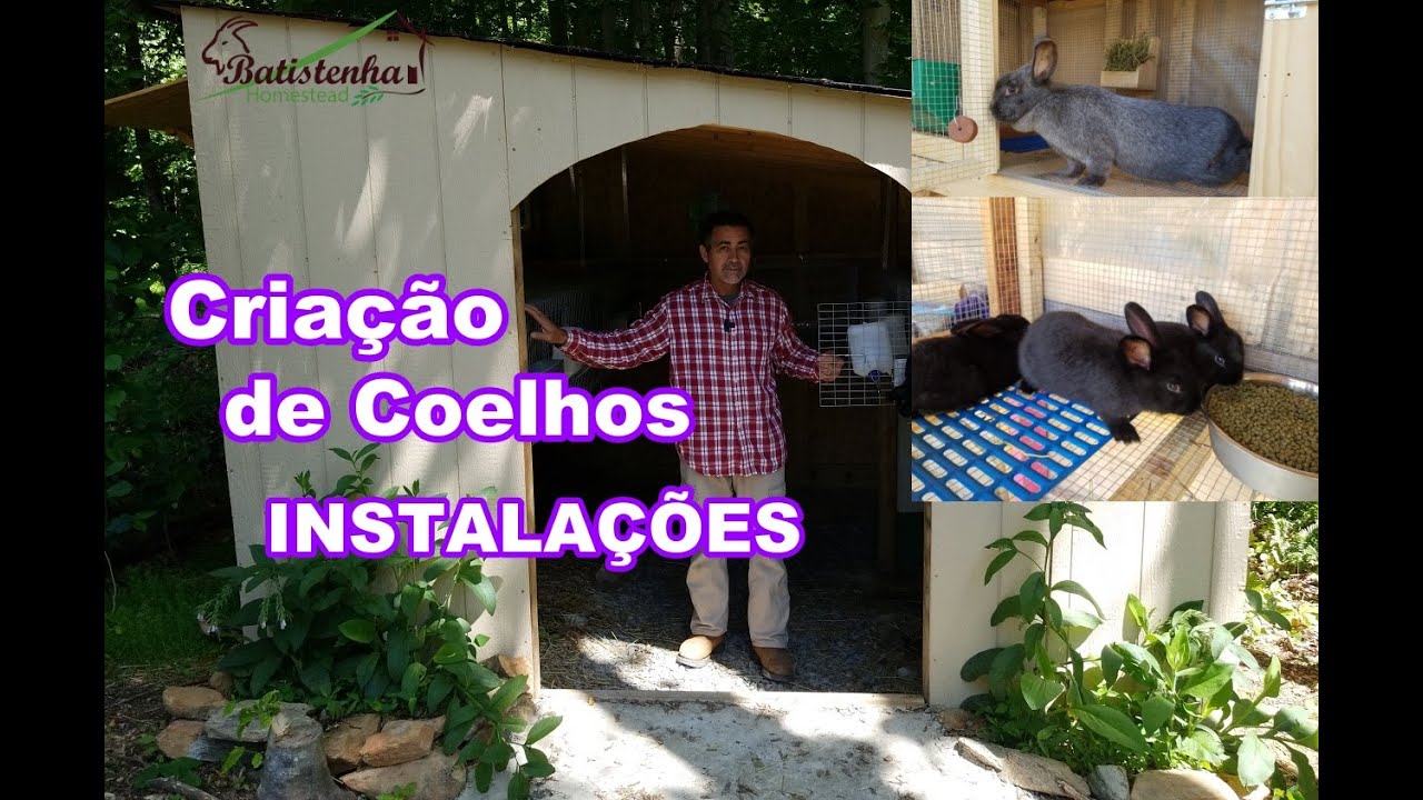 Criação de Coelhos - INSTALAÇÕES / Rabbit Breeding - FACILITIES